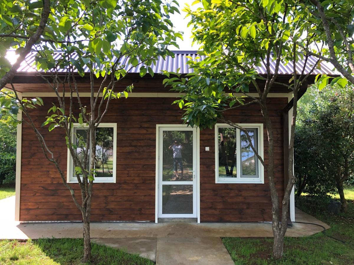 Vse Dlya Vas Guest House Goudaouta Extérieur photo